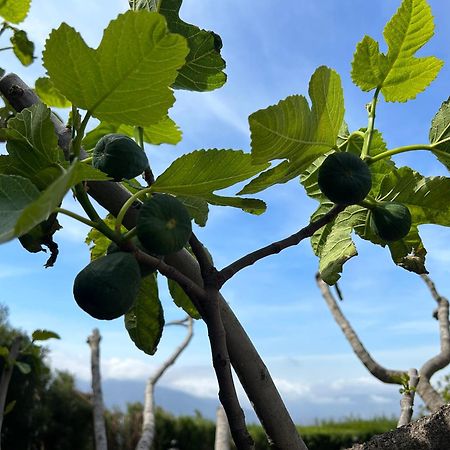 Villa Rustica En La Alpujarra - La Gualalla - Soportujar Carataunas Luaran gambar